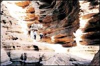 ドライブで楽しむ済州南海岸の旅