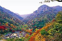 名残の紅葉をめでる「内蔵山のもみじ祭り」