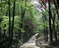 「ひっそりと静か…」 散策路の穴場はここ!