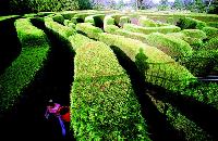 家族連れで楽しめる済州道　新たな観光地が続々