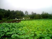 「秋に行きたい観光地」 観光公社お勧めの4か所