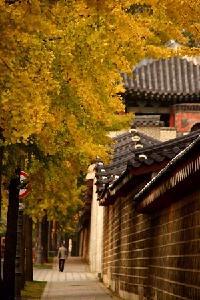 秋一色のソウルを歩く・・・美しい散歩道4か所紹介