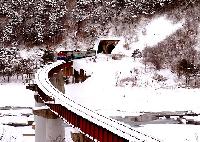 トンネルを抜けると「雪国」だった・・・旌善でセンチメンタルな汽車の旅