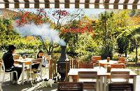 森に漂うコーヒーの香り、1枚の絵のようなカフェ