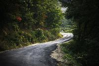 故チェ・ジンシルさんの足跡をたどる旅(上)