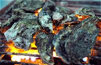 韓国西海岸で冬の味覚「カキ」を満喫