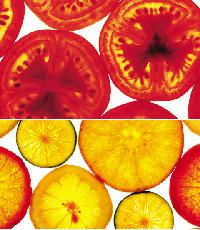 食べるだけで薬になる「スーパーフード」(上)