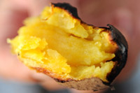 焼きいもが美味しい季節、サツマイモの産地・江華島へ