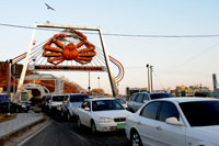 韓国沿岸を行く「冬のグルメ旅」