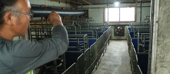 8カ月間空っぽの豚舎、終わりが見えないアフリカ豚熱