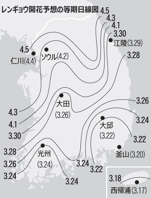 レンギョウの開花、昨年より2－4日早まる見通し