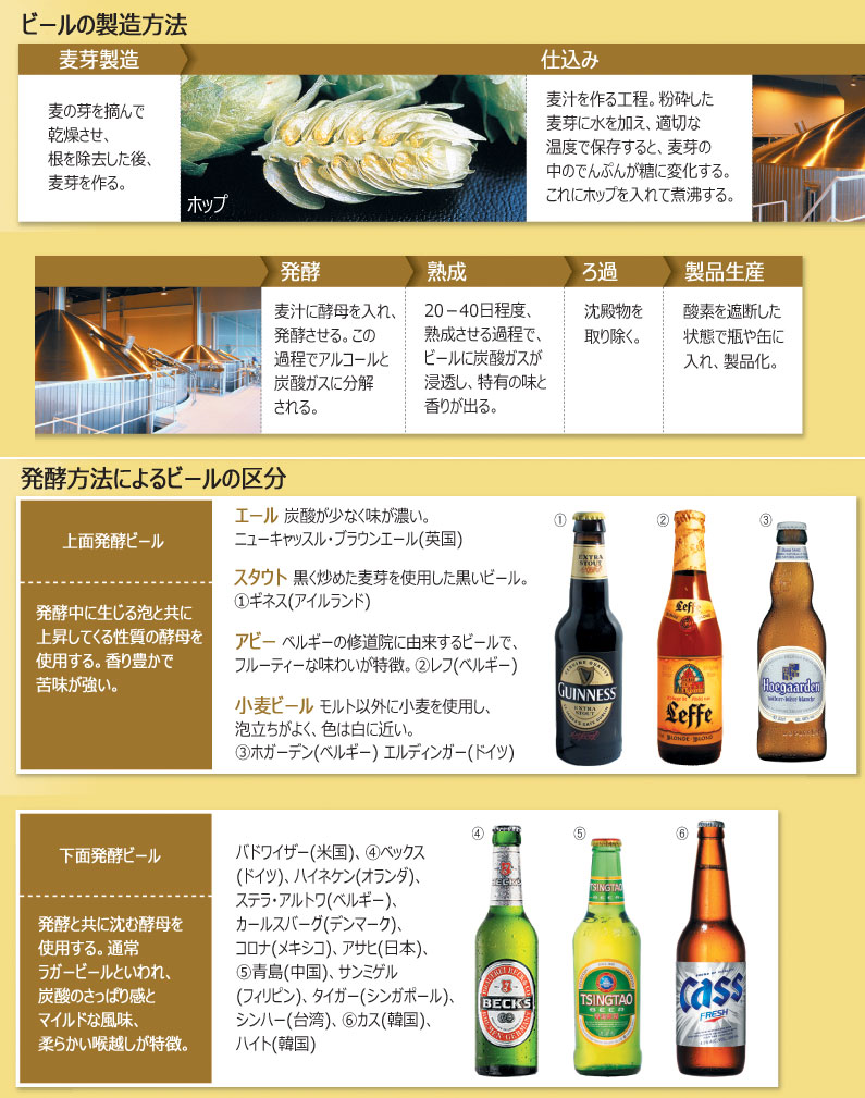 海外製に比べ味が薄い韓国ビール、そのワケは？