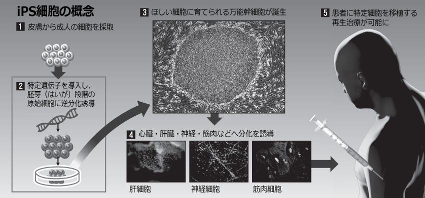 日本人、2年ぶり19人目のノーベル賞
