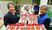 「イチゴで日本に勝つ」　新品種開発10年で日本離れ