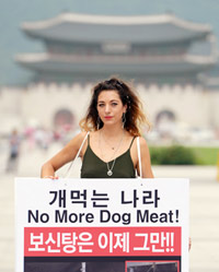 「犬肉食反対」ソウル・光化門で英国人女性がデモ