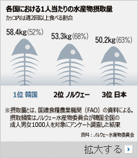 魚の消費世界1位・韓国、一番好きなのはサバ