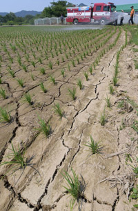 水不足が続く韓国、各地でトラブル続出