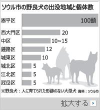 ソウルの登山道、野良犬の出没におびえる登山客たち