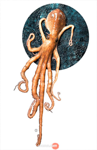 「タコの踊り食い」で…仁川・蘇莱浦口で70代老人が気道詰まらせ死亡