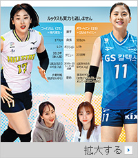 ルックスで人気に火がついた「バレーボール・アイドル」実力もアップ