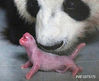 写真提供＝エバーランド 