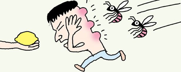 ハチに刺されたらレモン汁を
