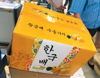 中国産の韓国産梨？