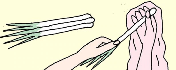 ワケギや小ネギをむく時はタマネギの網で