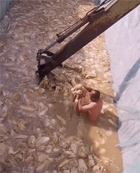 裸で白菜キムチの動画、輸出用ではないという中国の釈明