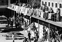 ▲高齢者、障害者、孤児を不法に監禁し、強制的に働かせていた釜山兄弟福祉院／朝鮮日報DB 