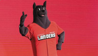 今までこんなマスコットいなかった…韓国プロ野球界の「異端児」ランディ
