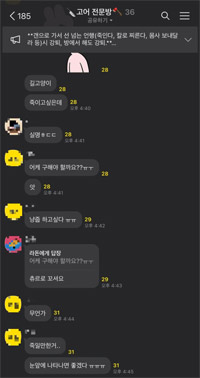 「猫のn番部屋」、その部屋には中学生もいた