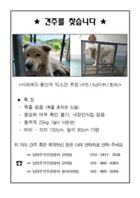 ▲京畿道南楊州市で50代女性を襲った大型犬の飼い主を探す案内文。／京畿北部警察庁 