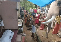 25年育ててくれた調教師の葬儀にゾウが…鼻で最後のあいさつ　／インド
