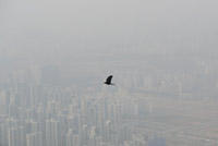 ▲21日午後、京畿道広州市の南漢山城から見たソウル市内の空は灰色にかすんでいた。写真＝コ・ウンホ記者