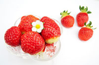 ▲2005年に忠南農業技術院イチゴ研究所が開発したイチゴ「雪香（ソルヒャン）」／韓国農村振興庁