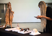 ▲ベルリン民俗博物館が24日（現地時間）、アフリカ・ナミビアに永久貸与形式で返還することにした所蔵品。写真＝聯合ニュース 