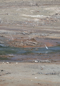 ▲先月31日、慶尚北道清道郡にある雲門ダムは一部で底が見えていた。大邱市と慶尚北道慶山市・永川市・清道郡の干ばつ指数は現在、深刻な干ばつを意味する「深刻」レベルだ。写真＝聯合ニュース 