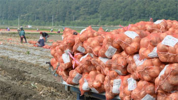 【独自】文在寅政権5年間で備蓄農産物5万3000トンを廃棄…朴槿恵政権の8倍