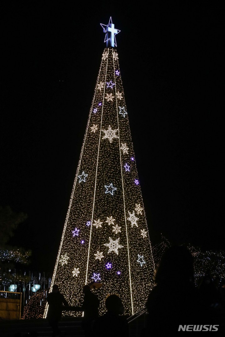 夜空に輝くクリスマスツリー