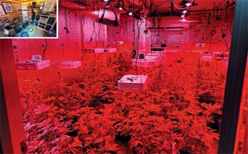 ▲昨年10月に警察が摘発した京畿道金浦市内のある倉庫。中は大麻を栽培する温室だった。／警察庁