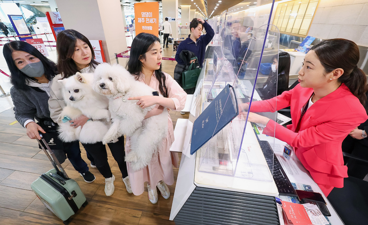 「愛犬と一緒に済州へ」　ペット同伴チャーター機旅行商品発売