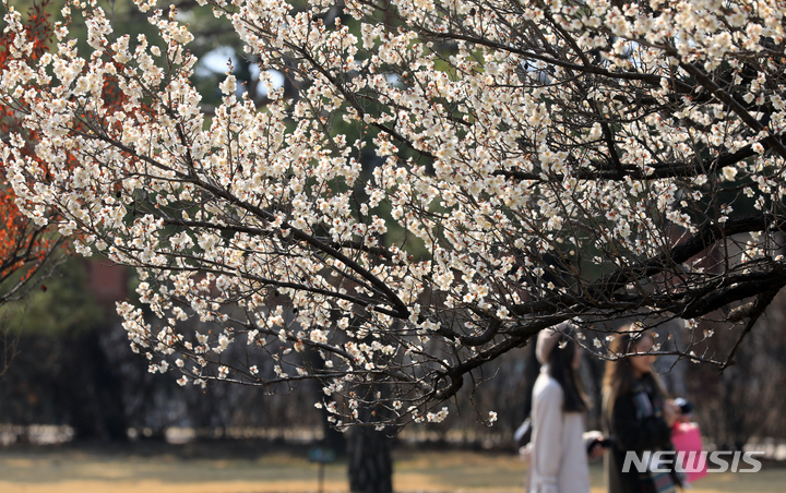春分まであと二日「春に訪れた観光客たち」　／ソウル