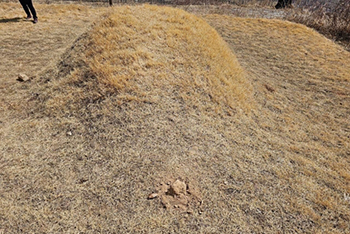 ▲韓国野党・共に民主党の李在明（イ・ジェミョン）代表が「両親の墓が荒らされた」として12日に公開した写真。／李代表のフェイスブック