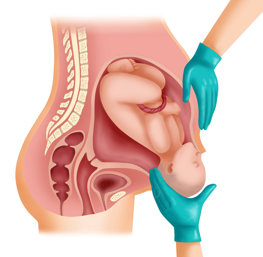 ▲イラスト＝UTOIMAGE