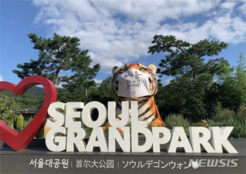 満1歳の誕生日から2週間、ソウル大公園のシベリアトラが死亡