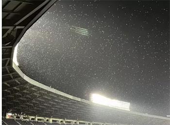 ▲18日、ソウル市内の蚕室野球場で行われた韓国プロ野球・KTウィズ対LGツインズの試合で、「トウヨウモンカゲロウ」の群れにより観客たちが大変な不便を強いられた。写真＝ツイッターより