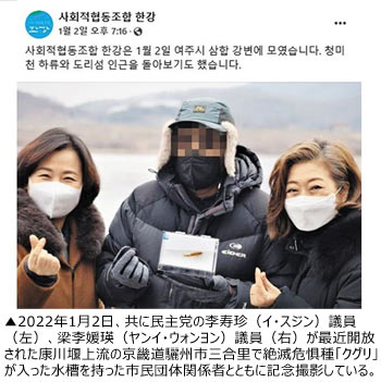 絶滅のおそれある韓国産淡水魚クグリの災難【コラム】