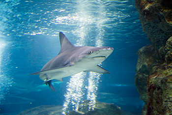 ▲写真＝UTOIMAGE