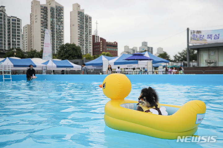 トゥクソム漢江公園　ペット用プールがオープン　／ソウル